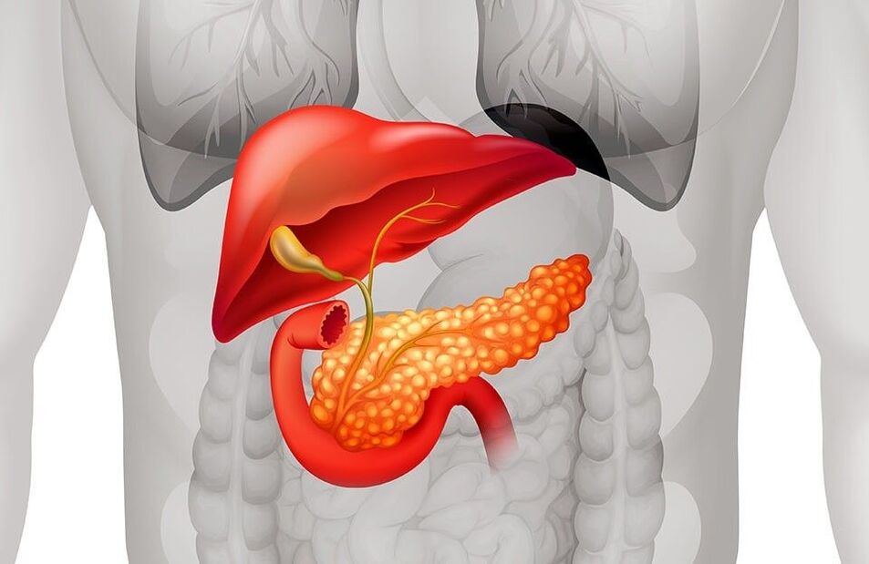 Pancreas health after taking Insuvit capsules